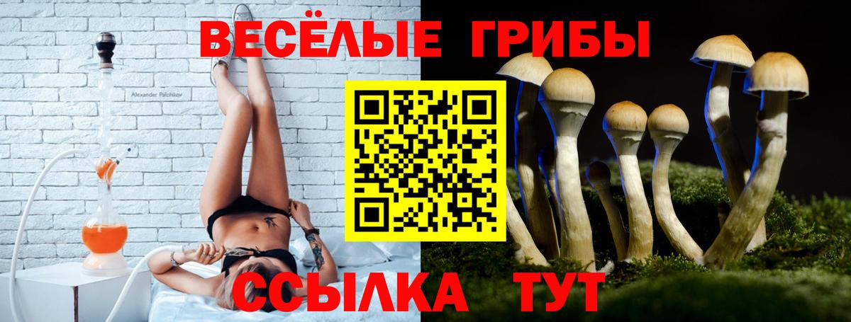 Псилоцибиновые грибы MAGIC MUSHROOMS Черняховск