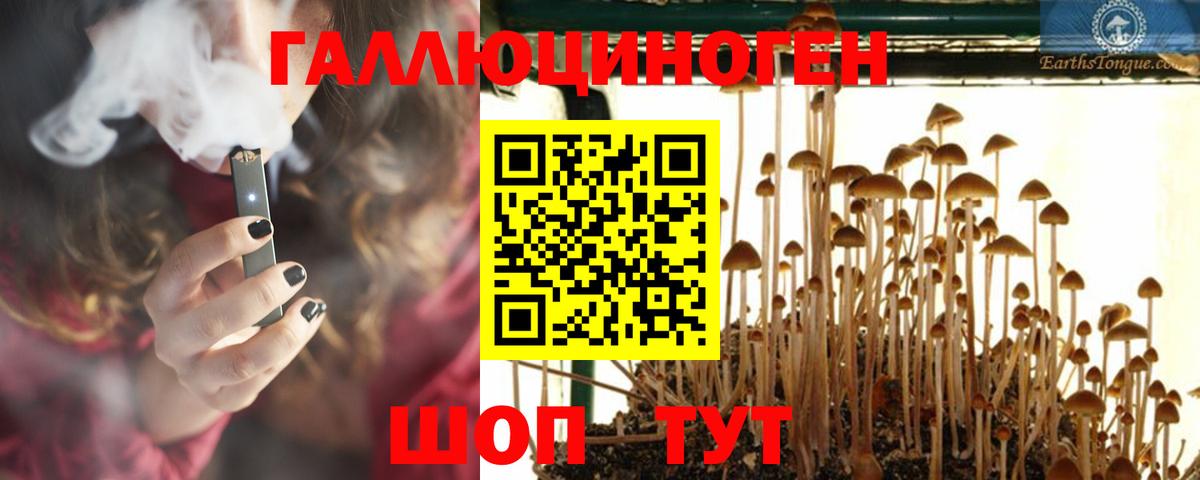МЕФ кристаллы  Черняховск  Конопля  Купить закладку  ГАШИШ  Вход с VPN 