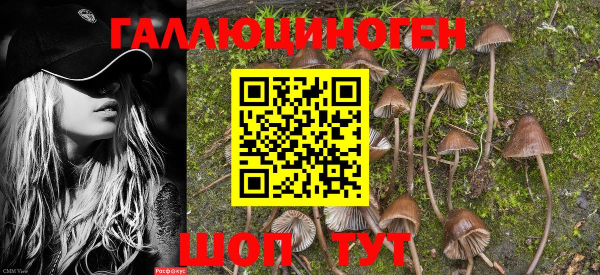 Псилоцибиновые грибы мухоморы  Псилоцибиновые грибы ЛСД  Черняховск  Вход с VPN 